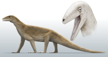 Life reconstruction