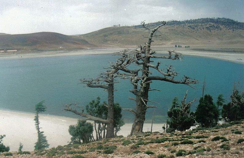 File:Sidi-ali lake.jpg