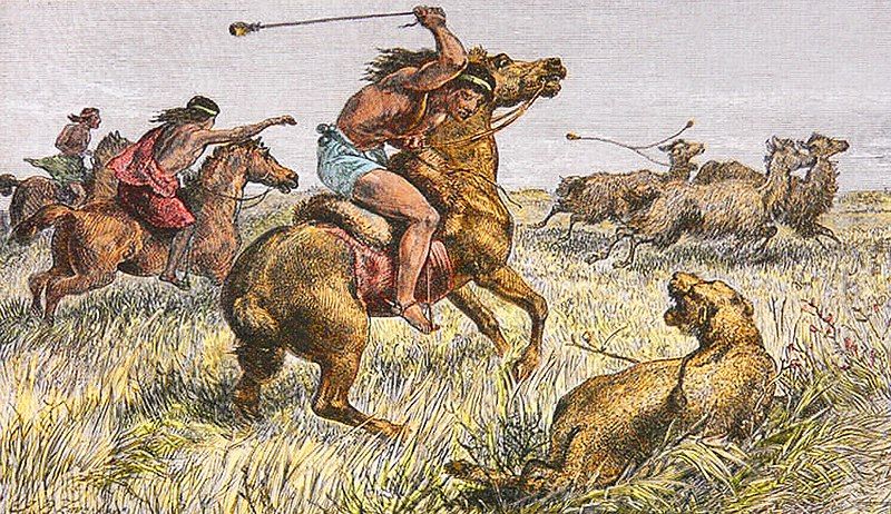 File:Wáki-killing-a-Puma.jpg