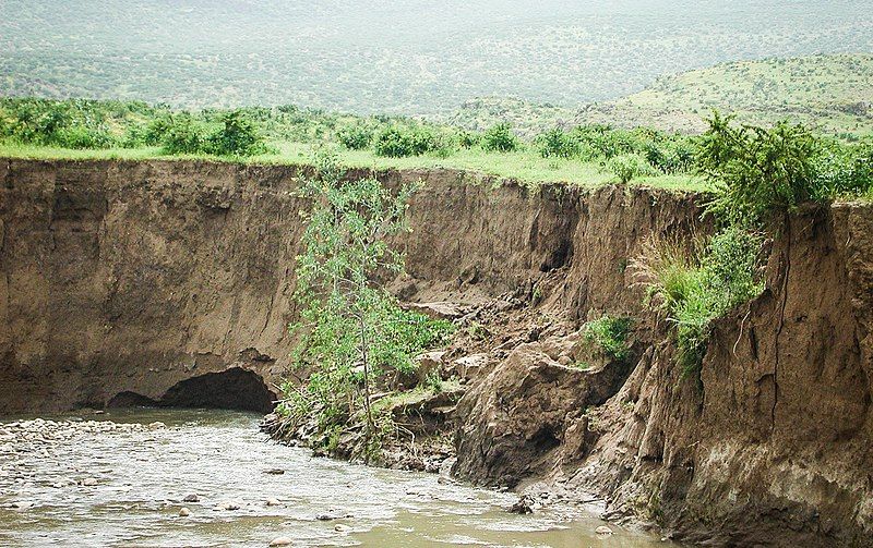 File:Agula'i bank erosion.jpg