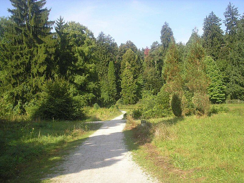 File:Arboretum Vinica.jpg