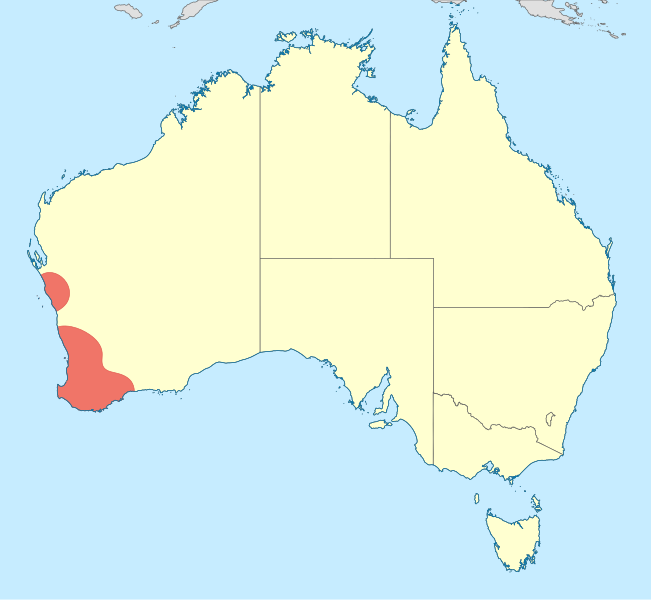 File:Archiargiolestes distribution map.svg