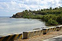 Tañon Strait coast at Barili