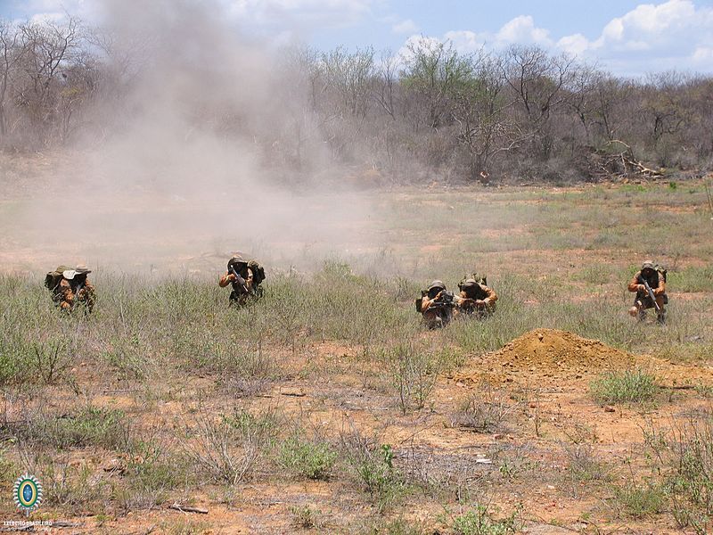 File:Caatinga-2 (29621932936).jpg