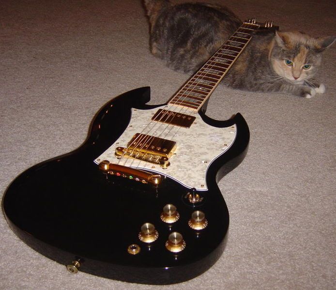 File:Cat and guitar.jpg