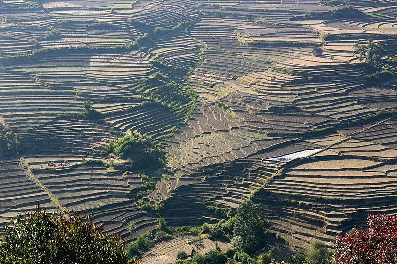 File:Chobhar-Terrassenlandschaft-08-2007-gje.jpg