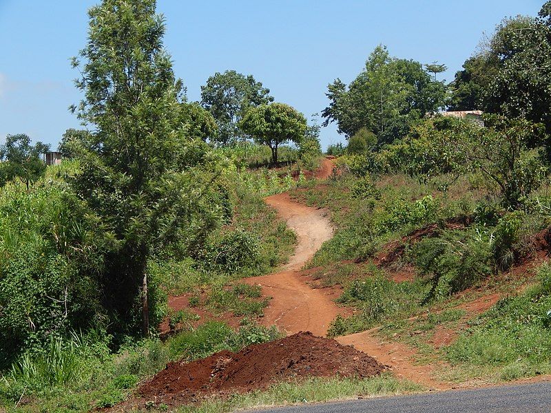 File:Farm path.jpg