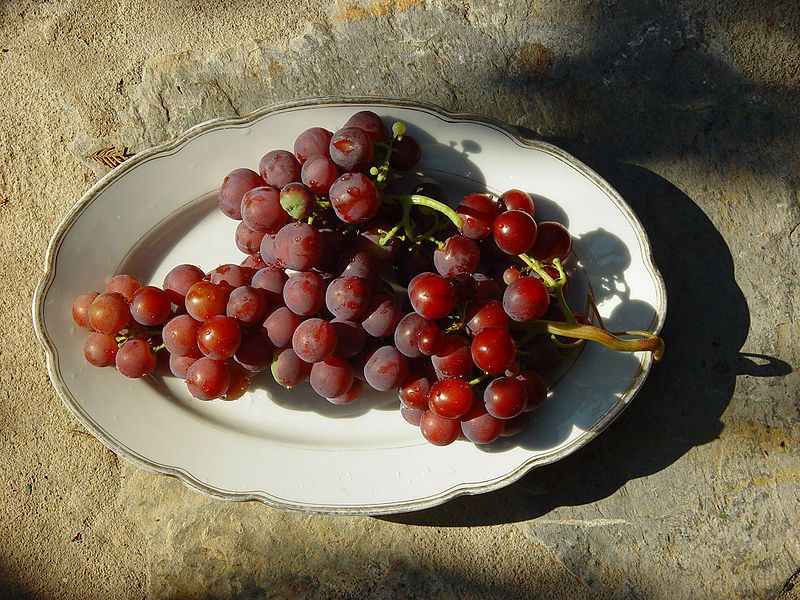 File:Grape 00005.jpg