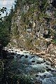 The Haselbach in the Öfenschlucht gorge