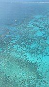 Hastings Reef