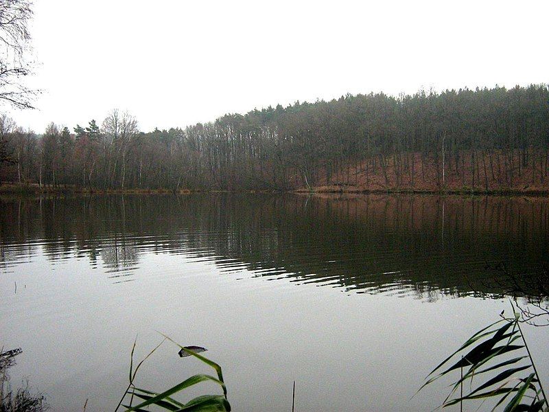 File:Heideseen-Schiebingsee-01.jpg