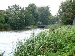 The Rotte near Hollevoeterbrug