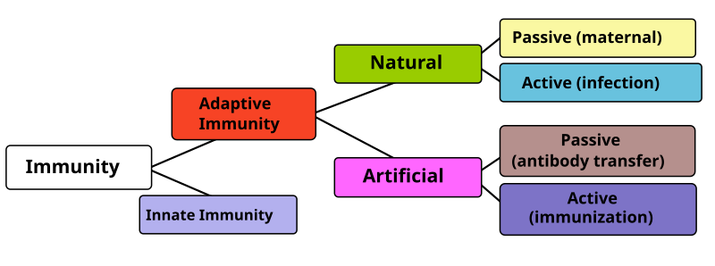 File:Immunity.svg