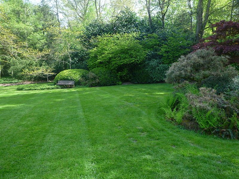 File:Kubota Meadow.jpg