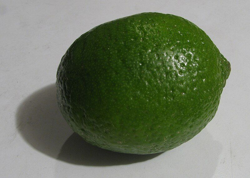 File:Lime closeup.jpg