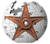 File:Main Barnstar.png