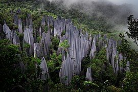 Tall, light grey stone columns protruding above a forest