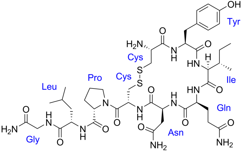 File:Oxytocin with labels.png