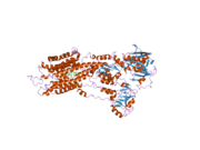 2eat: Crystal structure of the SR CA2+-ATPASE with bound CPA and TG