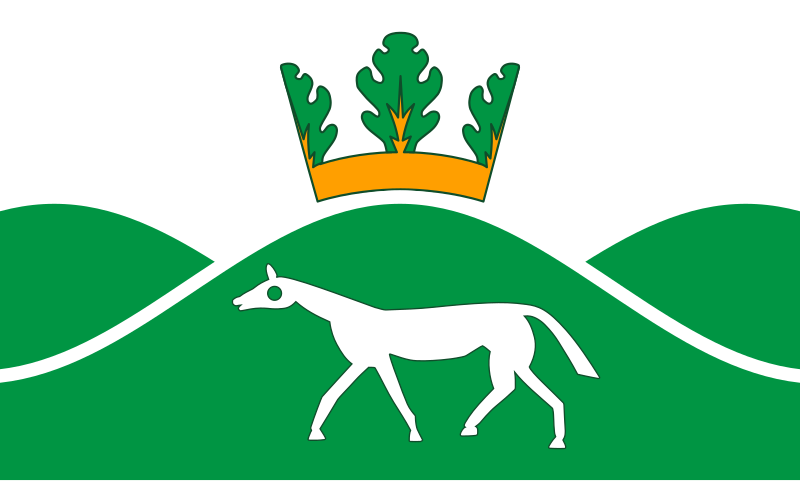 File:Pewsey village flag.svg