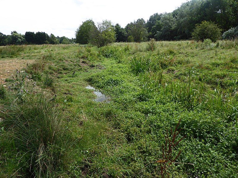 File:Shotesham Common 9.jpg