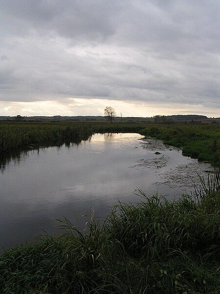 File:Supraśl (river).jpg