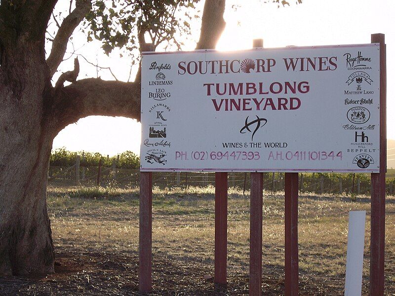 File:Tumblong Vineyard.jpg