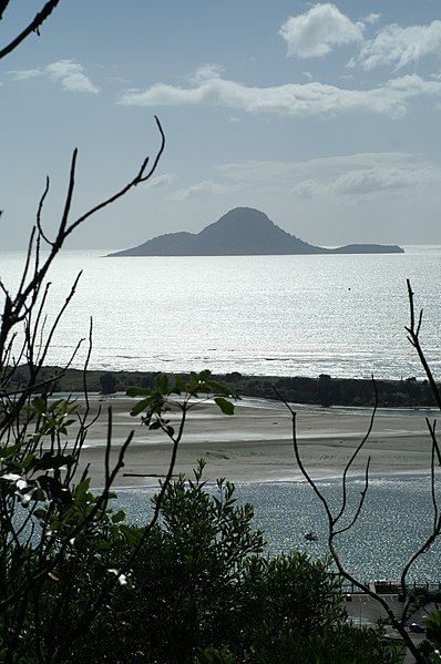 File:Whale island nz.jpg