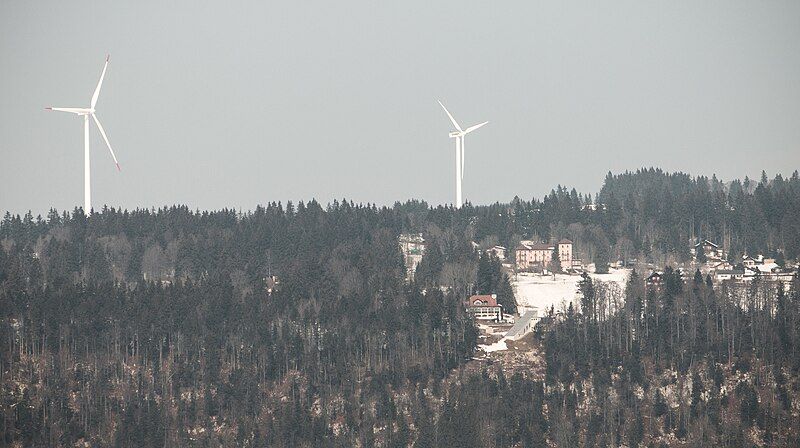 File:1006P Parc-regional-chasseral buedavi-4.jpg