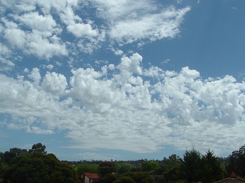 File:Altocumulus-Castellanus.jpg