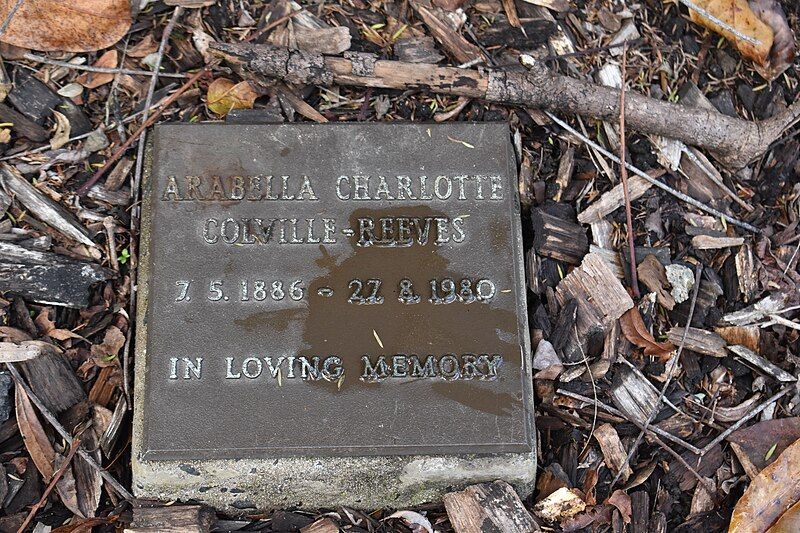 File:Arabella-scott-grave-NSW-australia.jpg