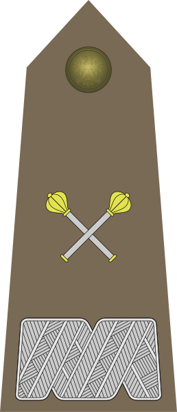 File:Army-POL-OF-10.svg