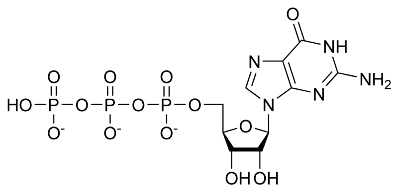 File:GTP chemical structure.png