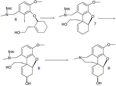 Galanthamine synthesis 2007 B