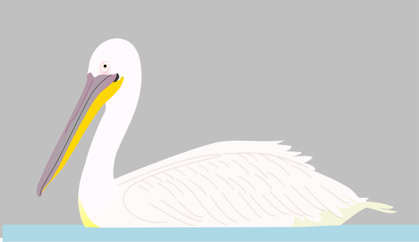 File:Great White Pelican.svg