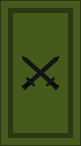 File:Ireland-Army-OF-3 camo.svg