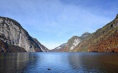 Der Königssee von St. Bartholomä talauswärts gesehen