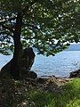 Partial view of Lake Trichonida.