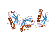 2gbr: Crystal Structure of the 35-36 MoaD Insertion Mutant of Ubiquitin