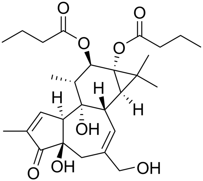 File:Phorbol 12,13-dibutyrate.png