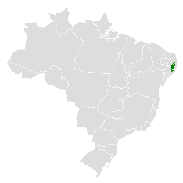 File:Phylloscartes ceciliae map.svg