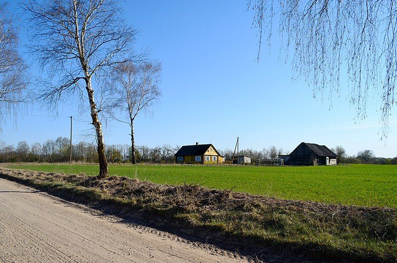 File:Plaktiniai3.JPG