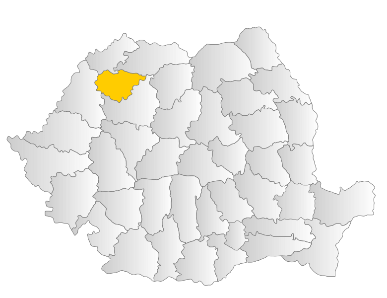 File:Salaj.svg