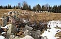 Anti-tank obstacles in the village Aholanvaara, Salla