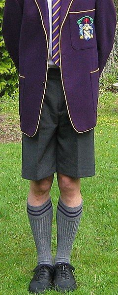 File:Schoolshorts1.jpg