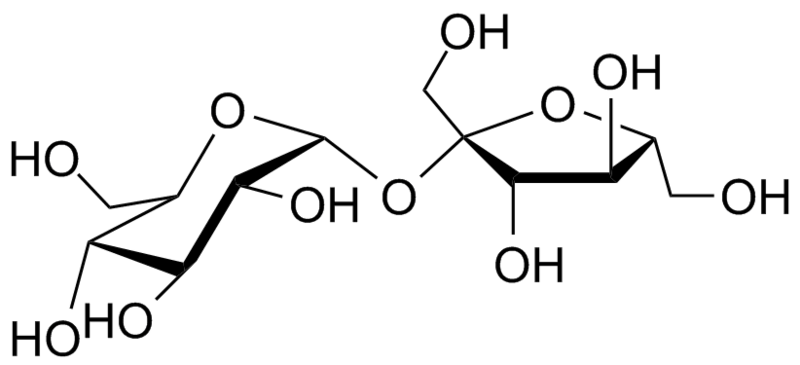 File:Sucrose 3Dprojection.png