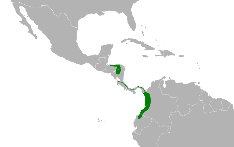 File:Tangara lavinia map.svg