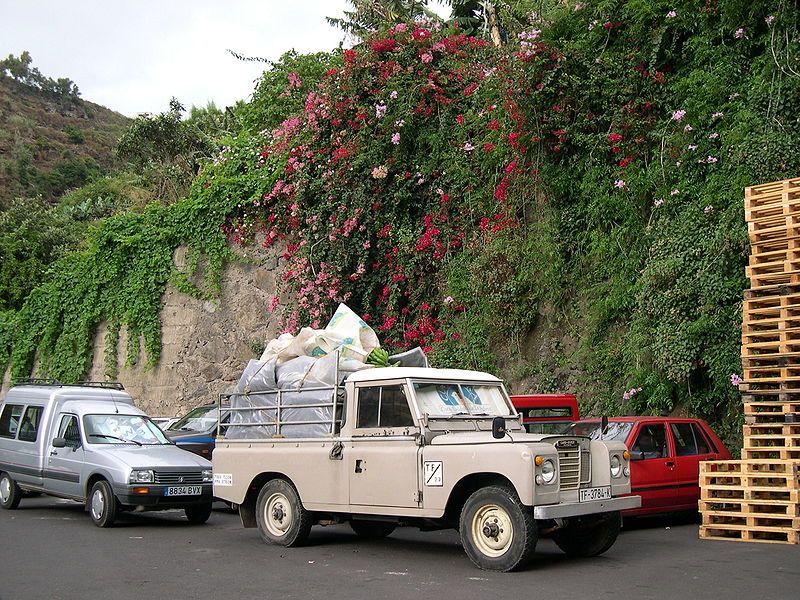 File:Transport bananas.jpg