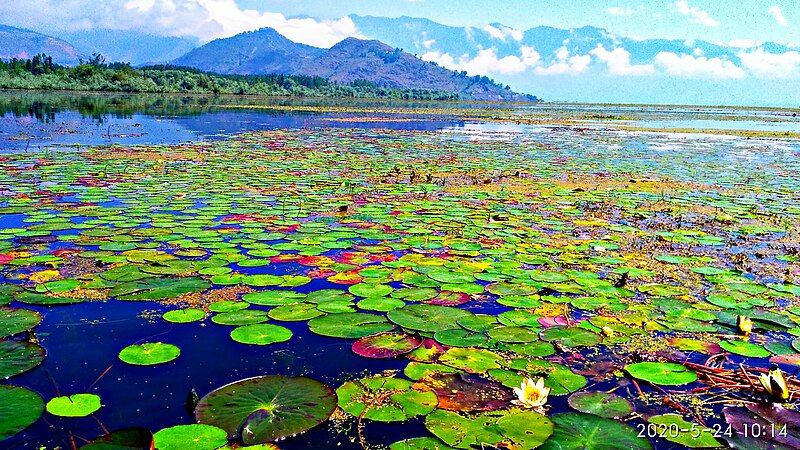 File:Wular Lake 1.jpg