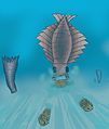 Anomalocaris